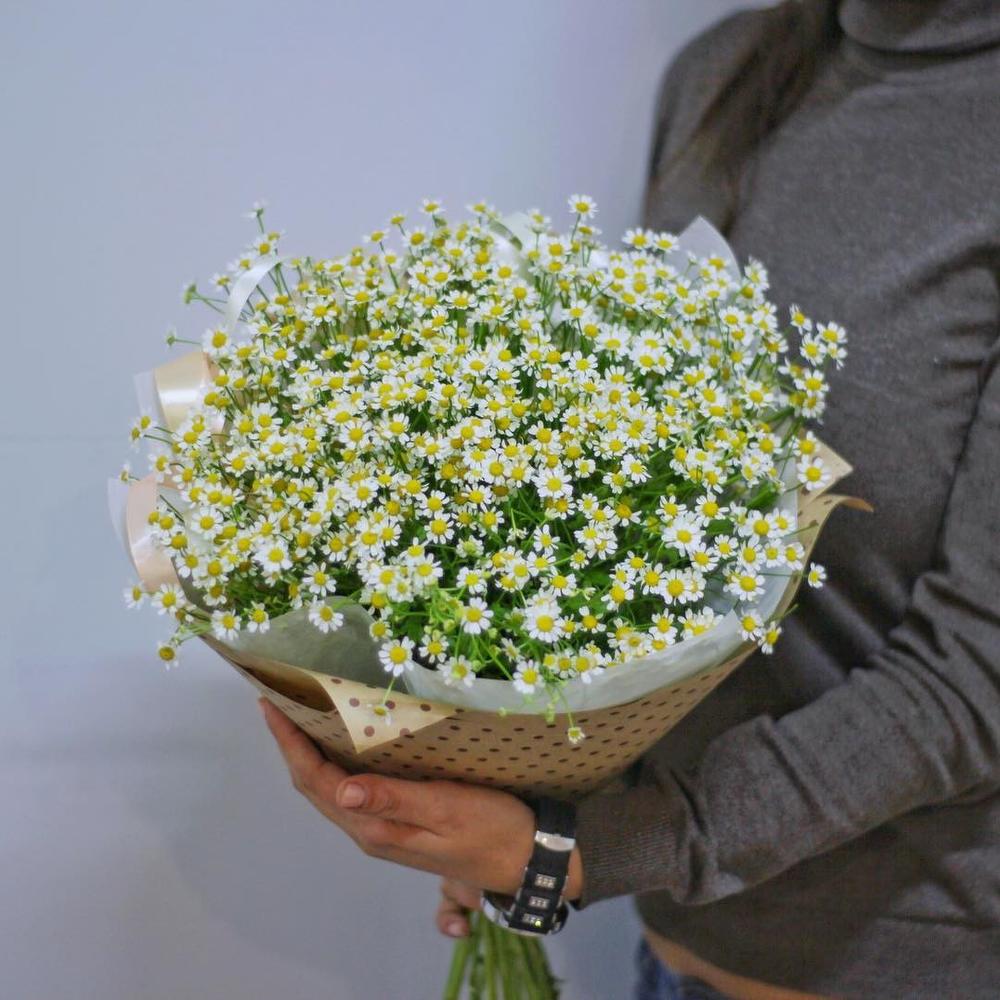 Букет из 25 матрикарий 