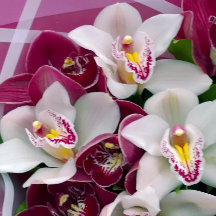 Букет из 15 орхидей цимбидиум