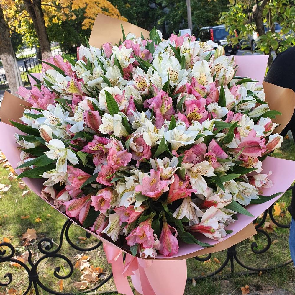 Шикарный букет альстромерий Шикарный букет альстромерий