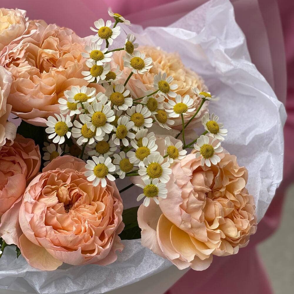 Пионовидная кустовая роза с ромашкой Пионовидная кустовая роза с ромашкой