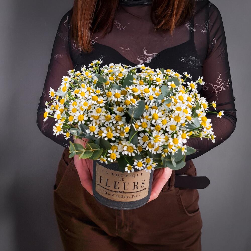 Ромашки в винтажном кашпо Ромашки в винтажном кашпо