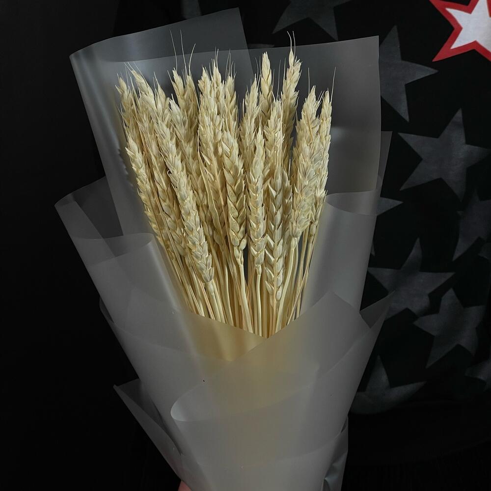 Сухоцветы - Тритикум - колоски Сухоцветы - Тритикум - колоски