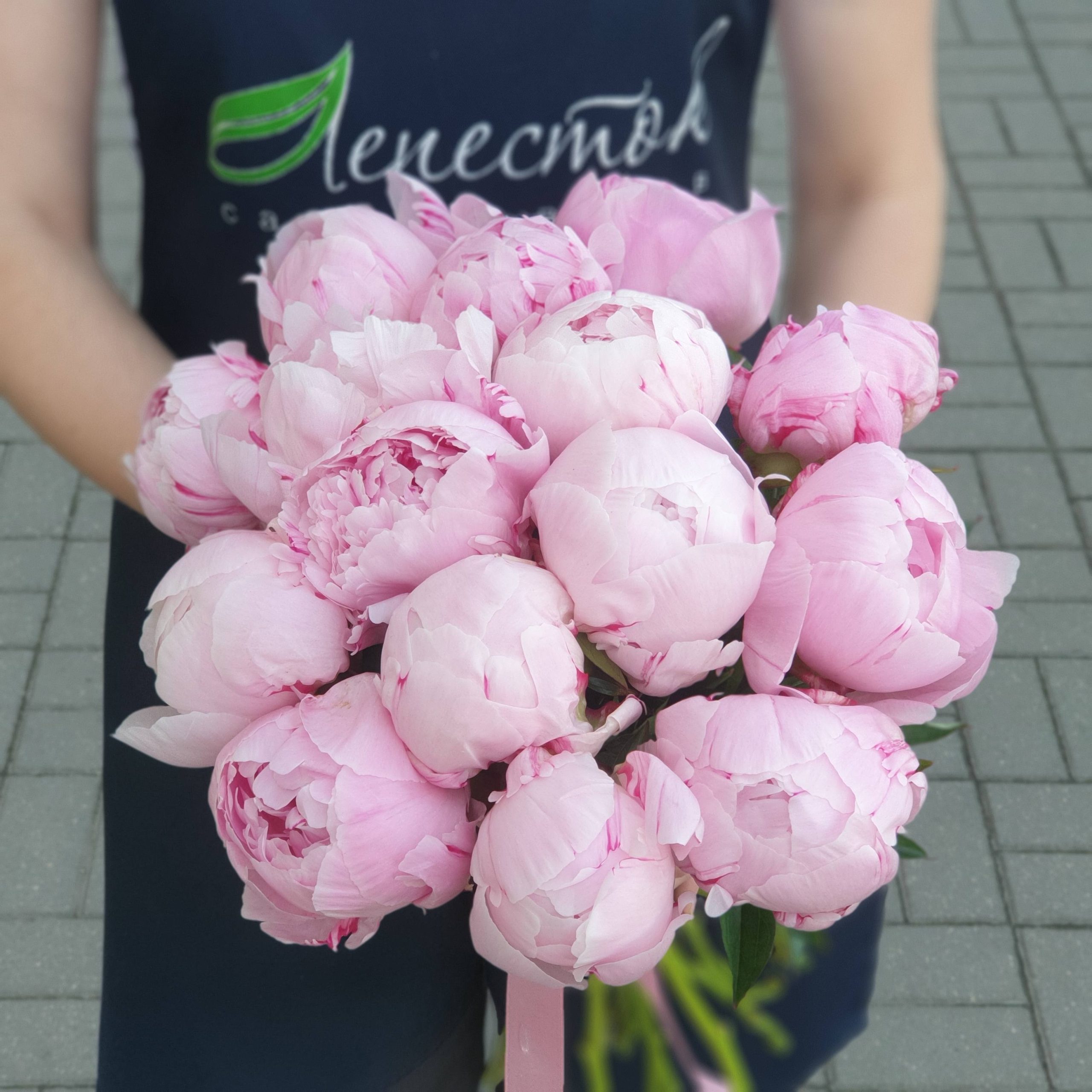 14ff7ac3-ad97-48b7-bc1d-c19ac8d738f3