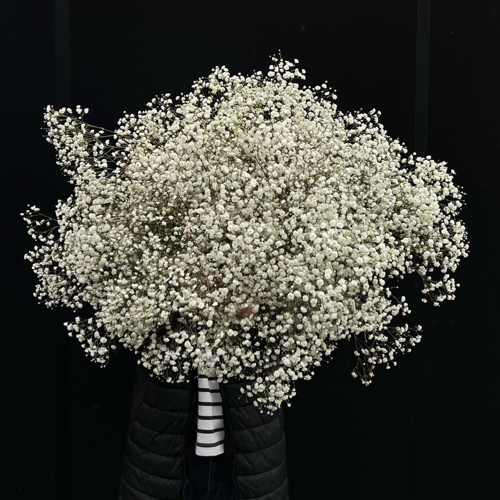 Моно Букет Облако + Открытка