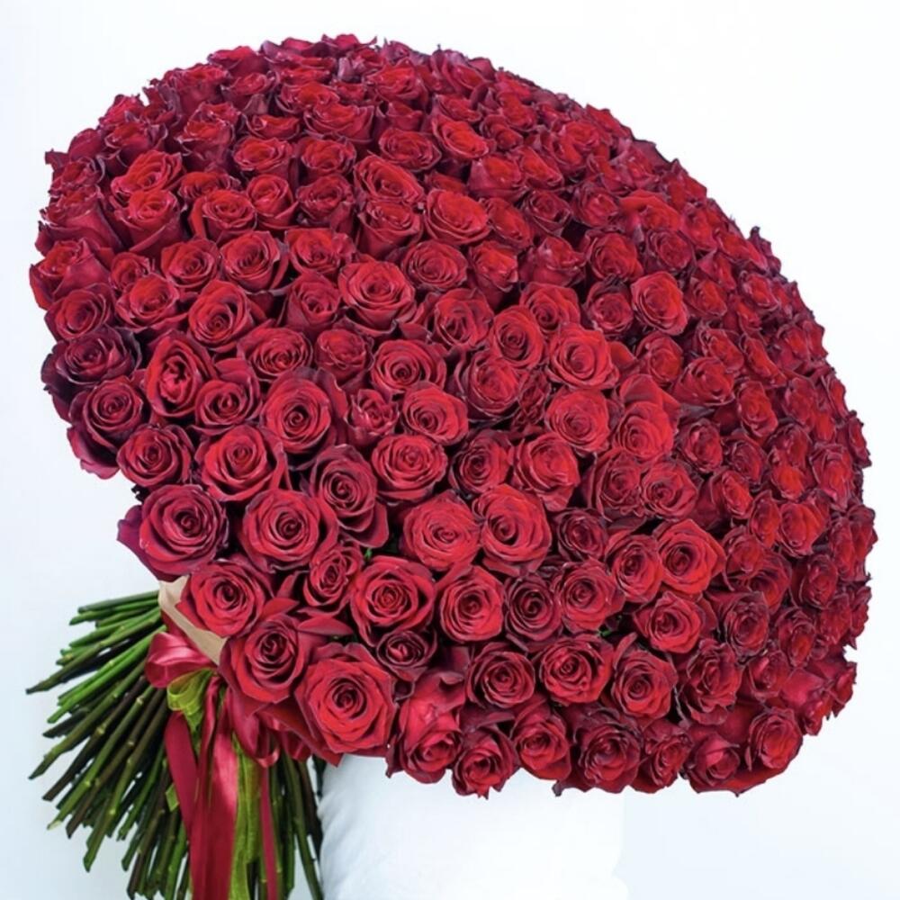 Букет из роза голландия