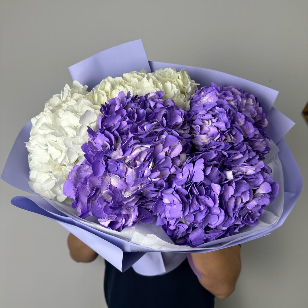 Пышное облако гортензий