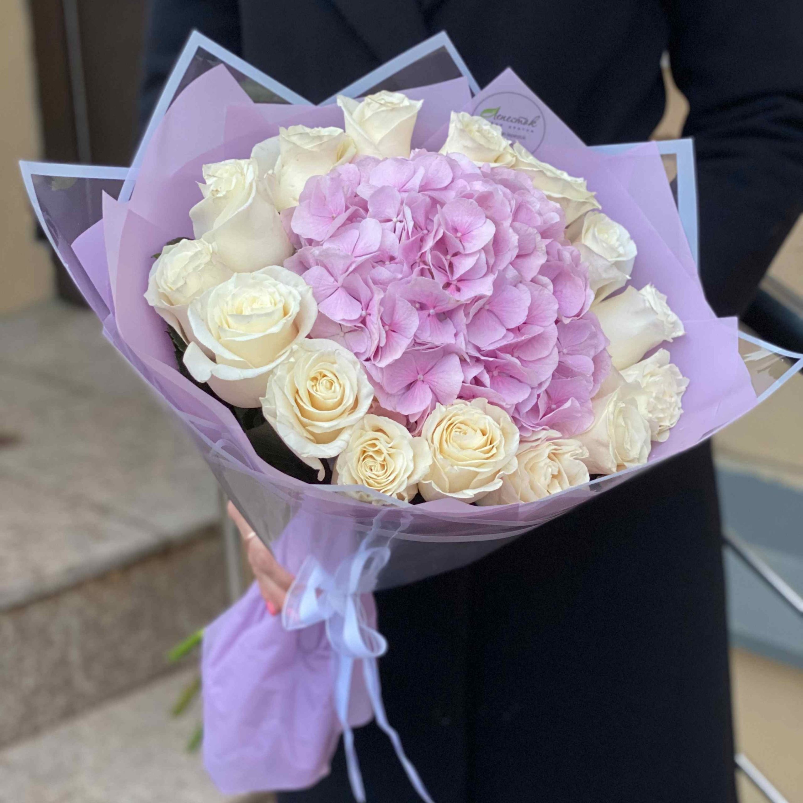 1d46067f-2d07-45ad-93a7-483a9d6517d1