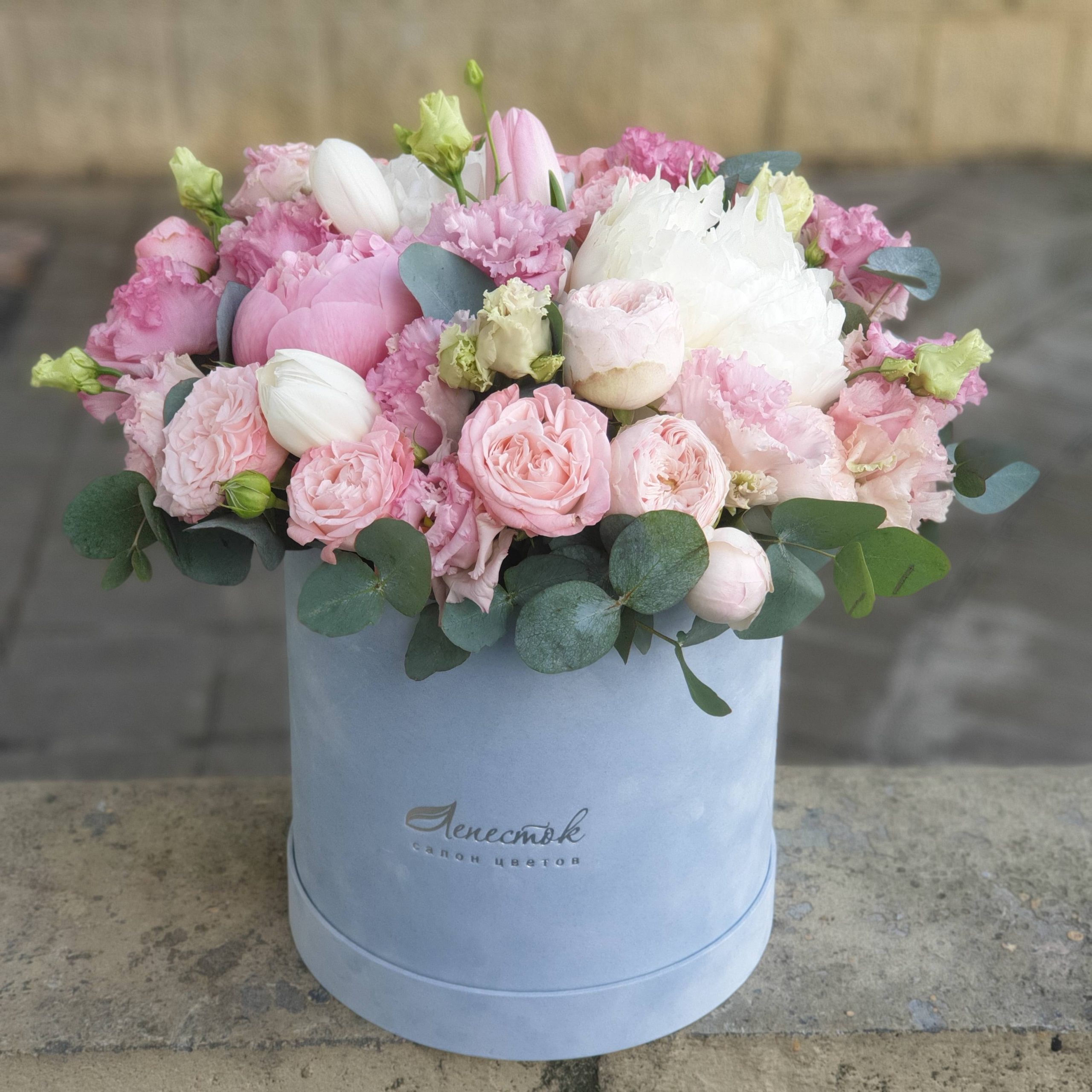 f6b0d39f-c09a-4f6b-a6dd-5f198c935308